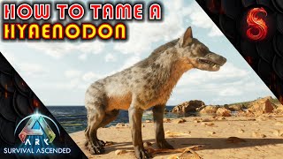 ARK SURVIVAL ASCENDED HOW TO TAME A HYAENODON [upl. by Keriann]