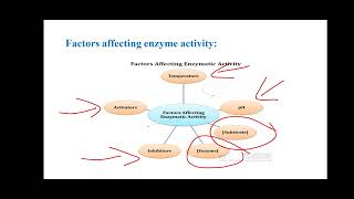 Lab 4 enzyme [upl. by Assirroc]