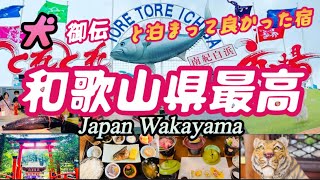 ［Wakayama観光］Japan ペットと泊まれる宿An inn where you can stay with pets [upl. by Ebba]