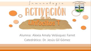 cap 9 Activacion de los linfocitos T [upl. by Aicatsanna]