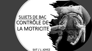 SUJETS BAC MOTRICITÉ 1 [upl. by Nac]