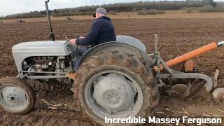 1955 Ferguson TEF20 21 LItre 4Cyl Diesel Tractor 28 HP with Ferguson 2 Furrow Plough [upl. by Einiffit]