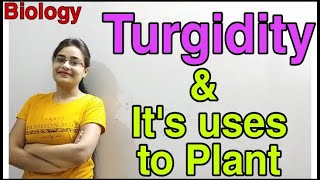 DG Pathshala Turgidity Uses of Turgidity to Plants Absorption by RootsTopic for Class10 Bio [upl. by Maribeth]