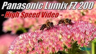 High Speed Video Panasonic Lumix FZ200 [upl. by Cl]