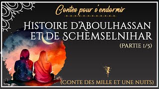 39  Histoire dAboulhassan et de Schemselnihar partie15  Contes des Mille et Une Nuits [upl. by Aubry930]