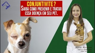 Conjuntivite Saiba como prevenir e tratar essa doença Auxiliar de Veterinário  Micronet [upl. by Mal]