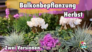 Balkonbepflanzung Herbst 🍂 zwei Ideen für eine Herbstliche Balkonbepflanzung [upl. by Caty]