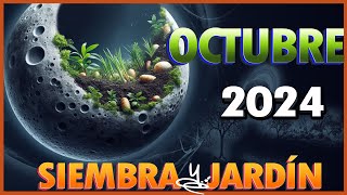 Dias de LUNA para Sembrar y Plantar Octubre 2024 [upl. by Otrebor]