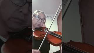 Vivaldi Violin Concerto in E minor RV 277 II Andante [upl. by Deutsch]