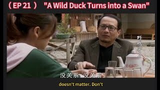 （EP 21 ）quotA Wild Duck Turns into a Swanquot（Starring Cao Xiwen，Zhang Tong， Zuo Ling） [upl. by Fischer]