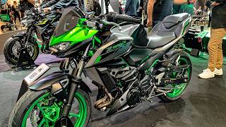 All New Suzuki Kawasaki KTM Honda Affordable Beginner Bikes For 2024 [upl. by Sayres]