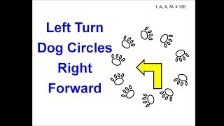 120 Left Turn  Dog Circles Right  Forward [upl. by Strain]