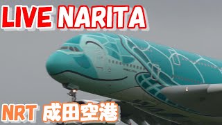 🔴LIVE at NARITA International Airport Plane Spotting 202408011 成田空港ライブカメラ 成田空港 NRTRJAA [upl. by Helen]