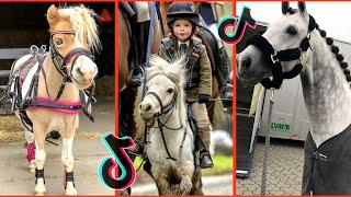 The Best HORSE TikTok Compilation 227 [upl. by Ettennaj]