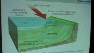 World Ocean Circulation  Upwelling [upl. by Renie]