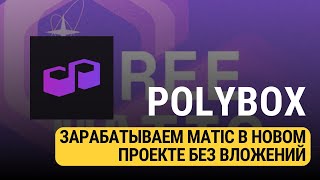 POLYBOX  ВЫНОСИМ МАТИК ИЗ НОВОГО ПРОЕКТА БЕЗ ВЛОЖЕНИЙ [upl. by Bekah]