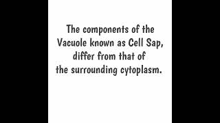 What is Vacuole and Cell Sap [upl. by Yllas]