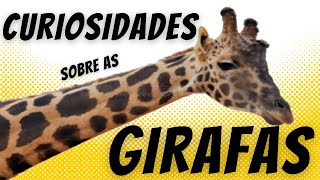 Curiosidades sobre as girafas [upl. by Rasia]