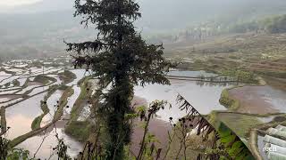 Yunnan  Yuanyang  Hani Rice Terraces Part I [upl. by Sinclair]