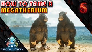 ARK SURVIVAL ASCENDED HOW TO TAME A MEGATHERIUM [upl. by Enilrac239]