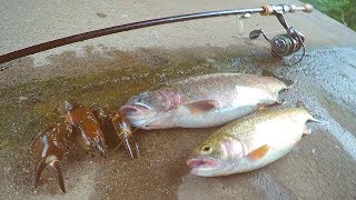 Catch and Cook Crawfish amp Trout [upl. by Lenra]