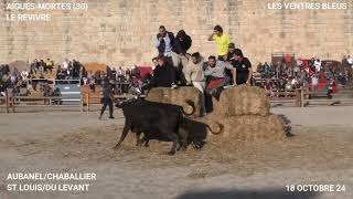 AIGUES MORTES MANADES AUBANEL CHABALLIER ST LOUIS ET DU LEVANT LE 18 OCTOBRE 24 LE REVIVRE [upl. by Glyn]