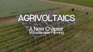 The Vine and the Sun A New Chapter in Sustainable Farming [upl. by Corie405]