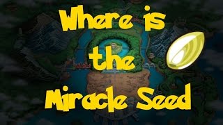 Where Is The EXP Share Location 2 Pokemon Black 2White 2 [upl. by Elisabetta]