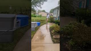 Driveway Cleaning rogerthat pressurewashing satisfying [upl. by Almira192]