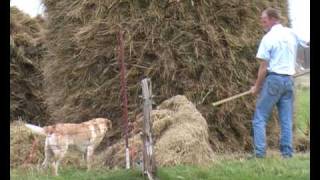 English Documentary Crofting and harvesting [upl. by Aneri940]