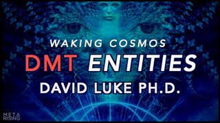 What are DMT Entities  David Luke PhD on Waking Cosmos [upl. by Mohandas231]