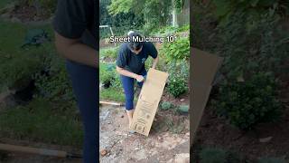 The easiest way to quickly start a new garden this fall gardeningideas [upl. by Haleemaj475]