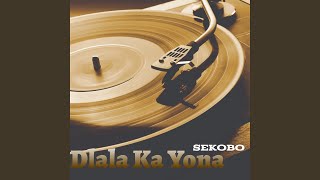 Dlala Ka Yona Freestyle [upl. by Aicilyt]