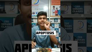 Apoptosis class 11th biology funny [upl. by Ainiger]