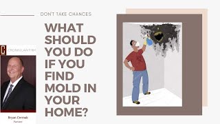 What Should You Do If You Find Mold in Your Home  Toxic Mold Attorney [upl. by Mitchell931]