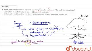 Sachin identified the specimen displayed as a saprophyte called mushroom [upl. by Zurc556]