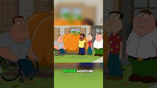 Family Guy 2024 Season 22 Ep 16 Pumpkin Contest Rivalry Can I Beat Patrick McCloskey suscribe [upl. by Annahsohs761]