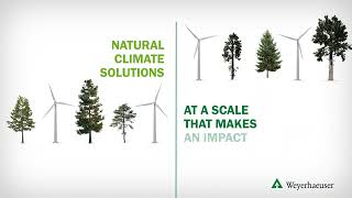 Weyerhaeusers Natural Climate Solutions [upl. by Revart]