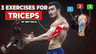 Target Your Triceps 3 Effective Exercises You Need to Try jeetselal hsacademy [upl. by Eilagam]