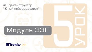 Урок 5 Модуль ЭЭГ BiTronics Lab [upl. by Trygve]