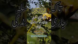 Beshak wo hr shay py qadir h❤️ subscribe please ❣️ [upl. by Aicinoid]