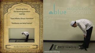 How to Pray  Zuhr Noon Pray  Fardh [upl. by Evangeline]