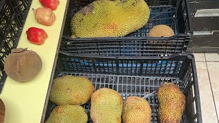 High Organic Fruit Haul October South Carib [upl. by Katzen]