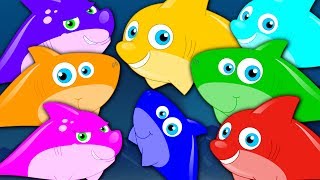 Learn Colors  Shark Colors Song  Learning Videos For Children  Cartoons For Babies by Kids Tv [upl. by Eixor593]