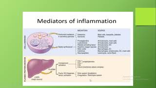 10 inflammation part four [upl. by Corrinne141]