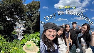 what to do in Enoshima 江ノ島？🌳  From Tokyo station  Car rental [upl. by Canada]