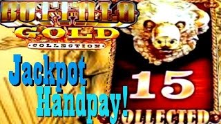 JACKPOT HANDPAY BUFFALO GOLD All 15 Golden Buffalo Collected [upl. by Adolfo]