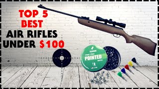 Top 5 Best Air Rifles Under 100 [upl. by Idnim]