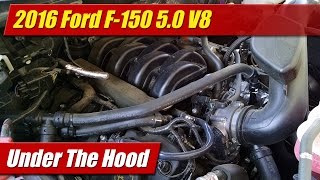 Under The Hood 2016 Ford F150 50 V8 [upl. by Aeriell]