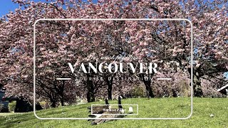 4KHow To Spend One Day in VancouverExplore Granville IslandCanadaVlogcanada granvilleisland [upl. by Avla211]